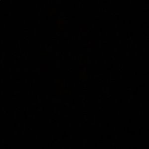 Meet your Posher, Annie